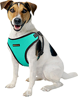 Шлея для собак Sport Vest TM BronzeDog S бирюзовая обхват шеи 24см обхват грудной клетки 35-38 см
