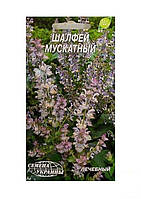 Шалфей "Мускатный" ТМ "Семена Украины" 0.2г