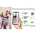 Шлея М 50-80см водостійка WAUDOG Waterproof з QR паспортом пластик фастекс чорна Н-подібна для собак, фото 5