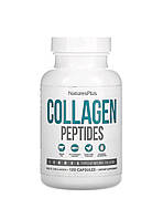 Nature's plus, Collagen Peptides, Коллаген, пептиди колагену, 120 капсул