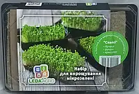 Спайсі набір для вирощування мікрозелені, LEDAAGRO