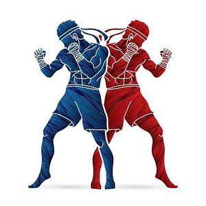 Єдиноборства