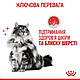 Вологий корм Royal Canin Hair & Skin (Хеір енд Скін)  для котів здоров'я шкіри та блиск шерсті, в желе 85грх12шт, фото 5