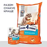Сухий корм для дорослих котів Club 4 Paws Premium 14 кг (лосось), фото 6