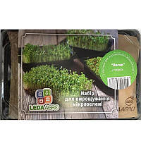 Веган набор для выращивания микрозелени (горох) LEDAAGRO