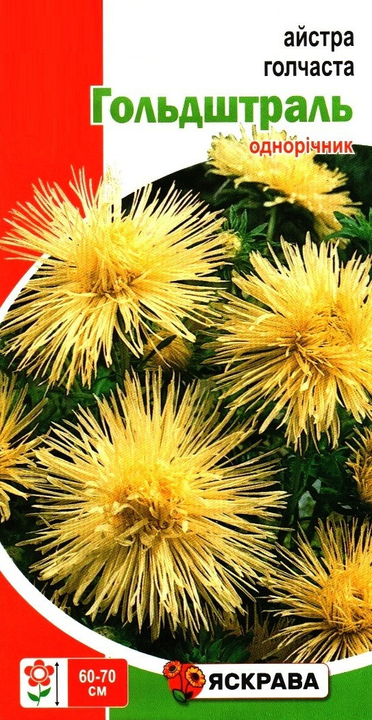 Насіння айстри голчастої Гольдштраль лимонна, ТМ Яскрава, 0,3г