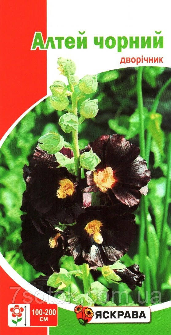 Насіння алтею чорний (чорна троянда), ТМ Яскрава, 0,2г