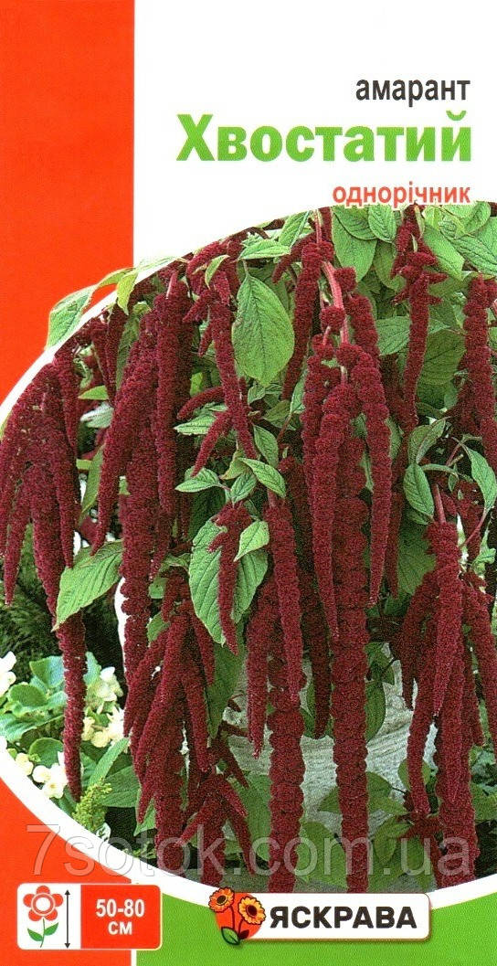 Насіння амаранту Хвостатий суміш, ТМ Яскрава, 0,5г
