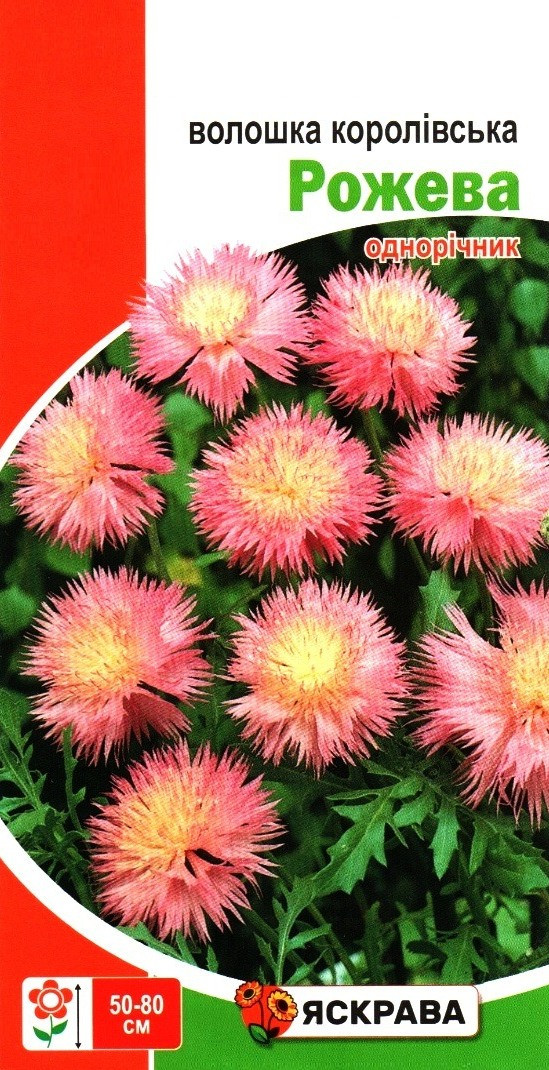 Насіння волошки Королівська рожева, ТМ Яскрава, 0,5г