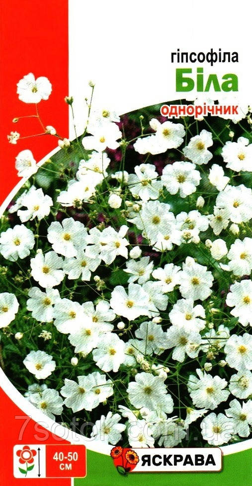 Насіння гiпсофiли бiлої, ТМ Яскрава, 1г