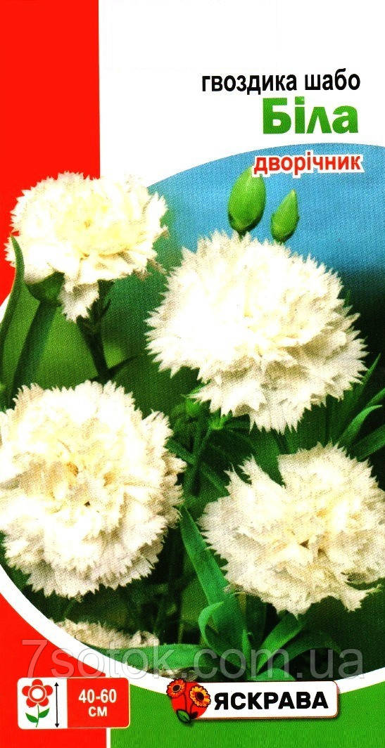 Насіння гвоздики Шабо Біла, ТМ Яскрава, 0,1г