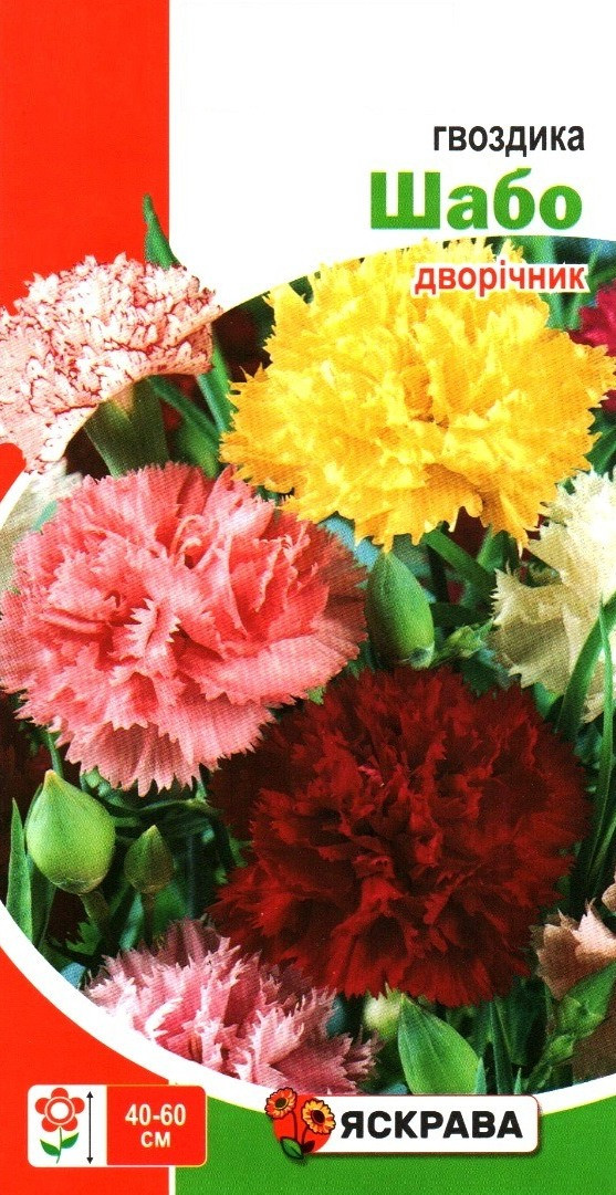 Насіння гвоздики Шабо однокольорова суміш, ТМ Яскрава, 0,2г