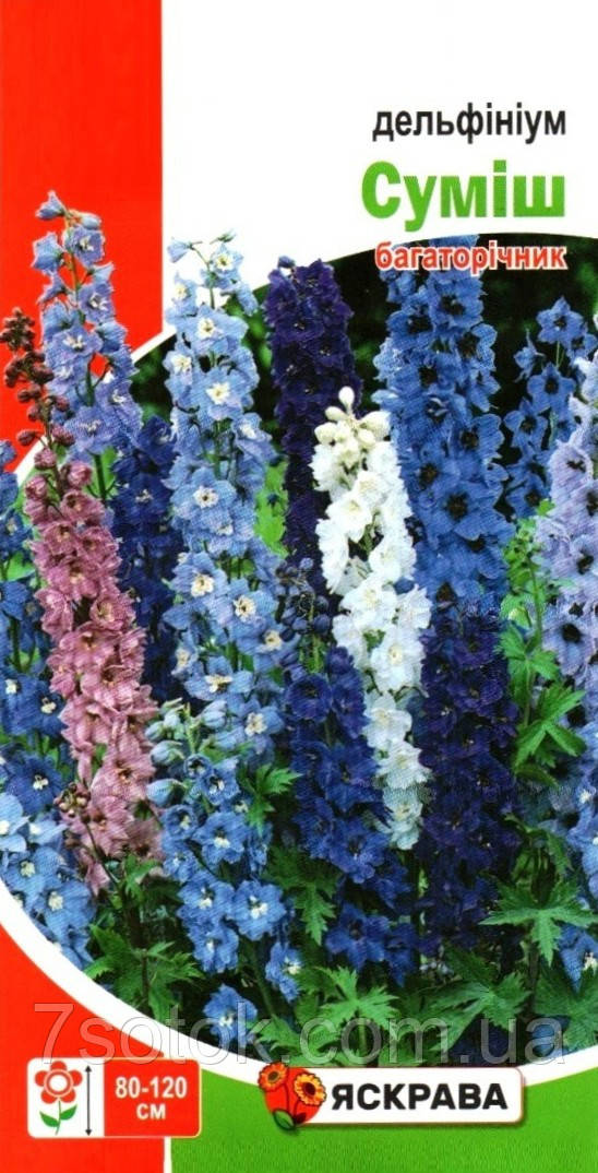 Насіння дельфiнiуму багаторiчного Суміш, ТМ Яскрава, 0,1г