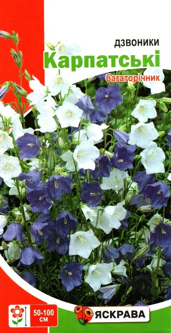 Насіння дзвоників Карпатськi Багаторiчнi, ТМ Яскрава, 0,1г
