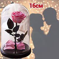 Роза в колбе Розовая 16 см стеклянная с LED подсветкой на День влюбленных и 8 Марта PLC