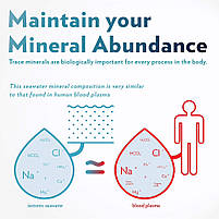 Quicksilver Scientific H2 Elite Molecular Hydrogen Water / Молекулярний водень 60 табл BX999, фото 5