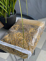 Тюль Нитка з люверсом, висота 3м, колір - горчичний., фото 2