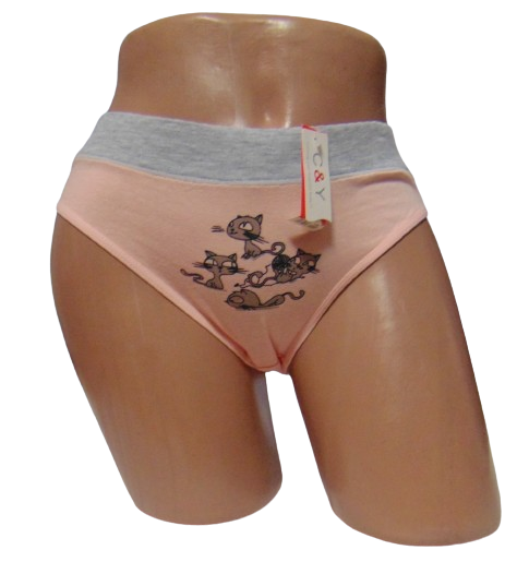 Трусики з кішечками CY 3204 2XL-3XL пудра