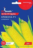 Насіння кукурудзи"Спокуса F1" 20г.(GL SEEDS)