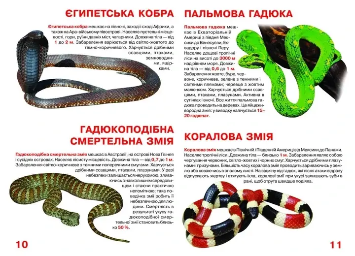 Енциклопедія для допитливих "Світ навколо нас. Велика книжка. Отруйні змії" | Кристал Бук, фото 4