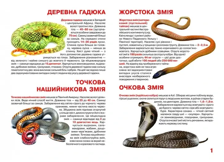Енциклопедія для допитливих "Світ навколо нас. Велика книжка. Отруйні змії" | Кристал Бук, фото 3