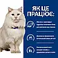 Сухий корм для котів Hill’s Prescription Diet Urinary Care c/d Multicare Stress 3 кг - курка, фото 3
