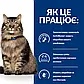 Сухий корм для котів Hill’s Prescription Diet Gastrointestinal Biome Digestive / Fibre Care 3 кг - курка, фото 2