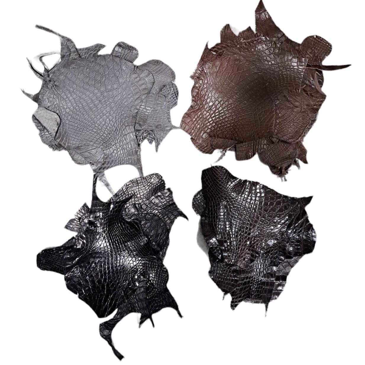 Шкіра крокодила лапи різнобарвна 1,4-1,6 мм