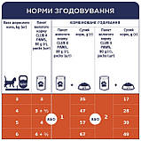 БЛОК 24шт Клуб 4 Лапи вологий корм з тріскою в желе для котів 0,08кг (Клуб 4 Лапи With Cod Fish), фото 5