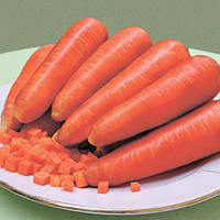 Семена Морковь Каскад F 1, 0,5 грамма Bejo Профессиональные семена