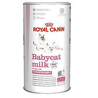 Заменитель молока для котят Royal Canin Babycat Milk 300 г (25530039)