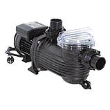 Насос для басейну Pentair Pantera 101 (13 м³/год), фото 2