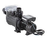 Насос для басейну Pentair Pantera 101 (13 м³/год), фото 5