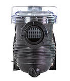 Насос для басейну Pentair Pantera 101 (13 м³/год), фото 6