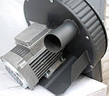 Подрібнювач кормів Д 1, фото 3