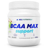 Аминокислота BCAA AllNutrition BCAA Max Support, 500 грамм Яблоко