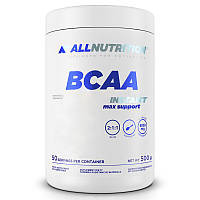 Аминокислота BCAA AllNutrition BCAA Instant Max Support, 500 грамм Лимон