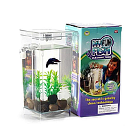 Аквариум самоочищающийся My Fun Fish LK202310-5