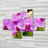 Модульна картина Фіолетові орхідеї на ПВХ тканини, 85x110 см, (35x25-2/75х25-2)