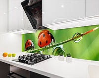 Панель кухонная, заменитель стекла с фауной, с двухсторонним скотчем 62 х 205 см, 1,2 мм