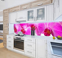 Панели на кухонный фартук ПЭТ орхидеи розовые, на двухстороннем скотче 68 х 305 см, 2 мм