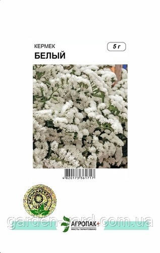 Насіння квітів Кермек білий 5 г Агропак плюс