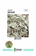 Насіння квітів Кермек білий 5 г Агропак плюс