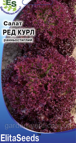 Насіння салат Ред Курл 0,5г. ElitaSeeds