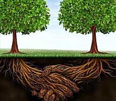 Метафоричні асоціативні карти та Психологічні ігри