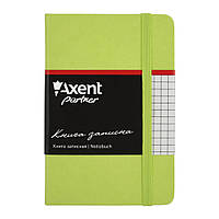 Канцелярская книга Axent Partner, 95*140, 96sheets, square, light green (8301-04-А)