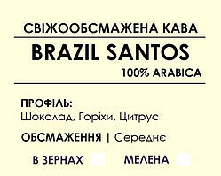 100% Арабіка Brazil Santos 500, Зернова