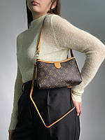 Louis Vuitton Mini Bag Brown/Camel 22 x 13 x 5 см