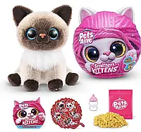 Інтерактивний ігровий набір Pets Alive - Грайливі кошенята