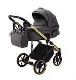 Коляска 2 в 1 Adamex Lumi PS-732 сіра (рама золото), фото 2